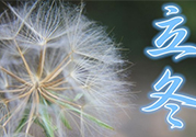 立冬可以釣魚嗎？立冬釣魚注意事項(xiàng)