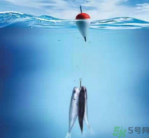 秋天釣魚深水還是淺水？秋天釣魚釣深水還是淺水？