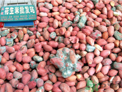 花生米發(fā)霉了還能吃嗎？花生米發(fā)霉了怎么辦？