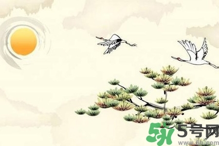 重陽節(jié)吃什么好？重陽節(jié)吃什么食物？