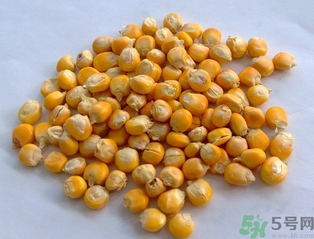 玉米用什么泡釣魚(yú)好？玉米怎么泡好釣魚(yú)？