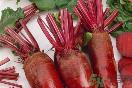 甜菜是甜的嗎？甜菜到底是不是甜的？