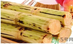 甘蔗過夜了能吃嗎？隔夜的甘蔗可以吃嗎？