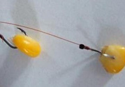 玉米粒怎么釣魚？怎么用玉米粒釣魚？