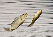 十月份怎么釣魚？十月份釣魚好釣嗎？