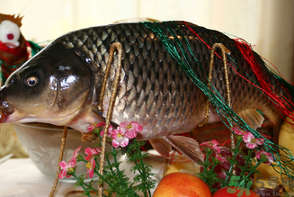 鯉魚死了還能吃嗎？鯉魚死了多久不能吃？