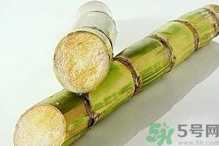 血糖高的人能吃甘蔗嗎？血糖偏高可以吃甘蔗嗎？