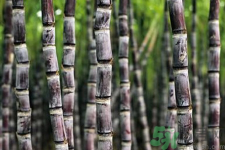 甘蔗發(fā)紅還能吃嗎？甘蔗中間發(fā)紅是怎么回事？