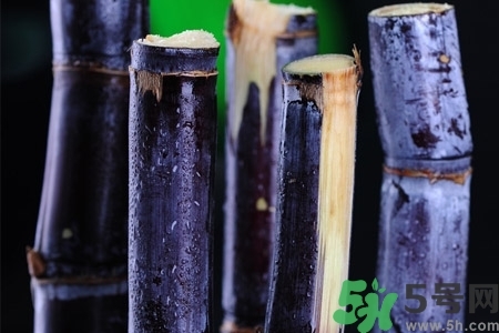 甘蔗一天吃多少最好？甘蔗能每天都吃嗎？
