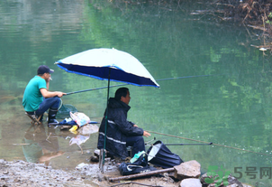 釣的魚怎么保存？釣的魚吃不完怎么保存？
