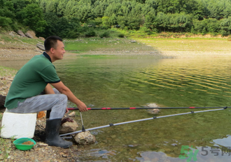 釣的魚怎么保存？釣的魚吃不完怎么保存？