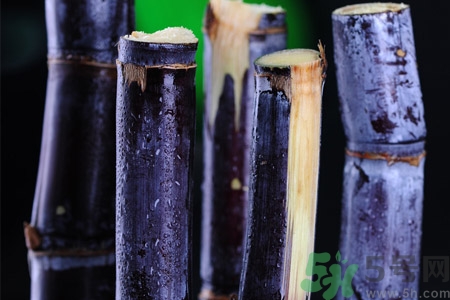 老人一天吃多少甘蔗最好？老人一天吃多少甘蔗合適？