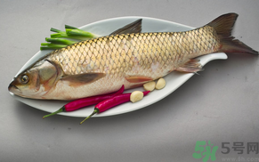 秋天怎么釣草魚？秋天草魚好釣嗎？