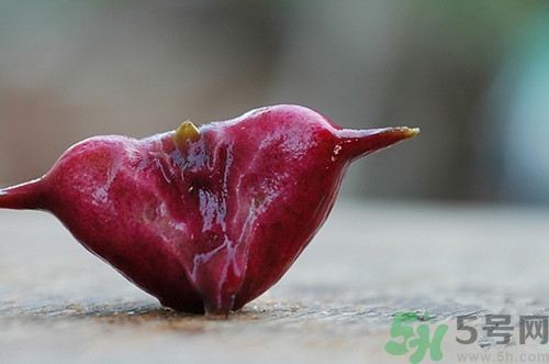 菱角可以蒸著吃嗎?菱角蒸多長時(shí)間熟