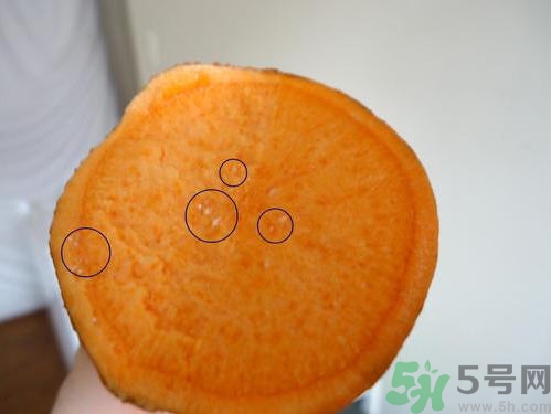 番薯發(fā)芽還能吃嗎？山芋發(fā)芽還能吃嗎？