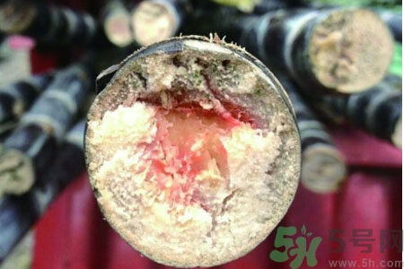 發(fā)霉的甘蔗吃了會中毒嗎？發(fā)霉的甘蔗長什么樣子？