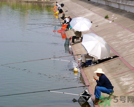 水庫(kù)釣魚用什么餌料？水庫(kù)釣魚用什么商品餌？