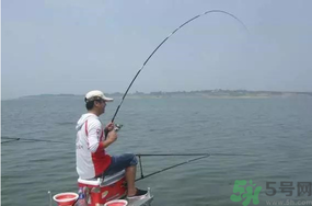 陰天好釣魚嗎？陰天釣魚好釣嗎？
