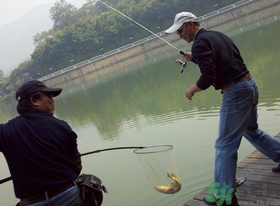 秋季釣黑魚用什么魚餌？秋天釣黑魚用什么餌？