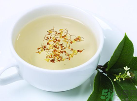 新鮮桂花能泡茶嗎？新鮮桂花怎么處理泡茶？