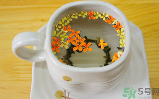 剛摘的桂花可以泡茶嗎？剛摘的桂花能泡茶嗎？