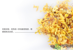 新鮮桂花可以泡水喝嗎？新鮮桂花泡水喝有什么好處？