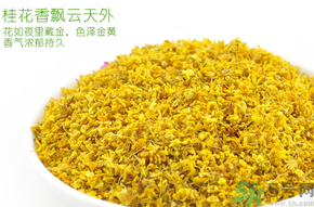 剛摘的桂花有蟲怎么辦？干桂花長蟲怎么辦？