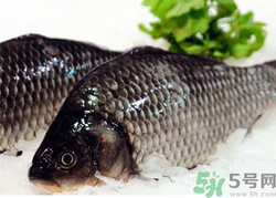 鯽魚(yú)死了一夜能吃嗎？鯽魚(yú)死了一天能吃嗎？