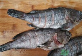 黑魚(yú)怎么洗掉身上的粘液？黑魚(yú)怎么洗才干凈？