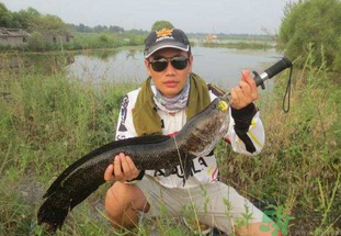 路亞釣黑魚用什么假餌？路亞釣黑魚用什么餌？