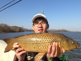 夜釣鯉魚用什么餌料？秋天夜釣鯉魚用什么餌料？
