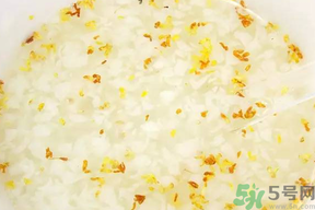 新鮮桂花可以煮粥嗎？桂花可以煮粥嗎？