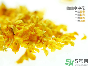 桂花可以泡水喝嗎？桂花怎么泡水？