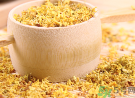 新鮮桂花能泡茶嗎？新鮮怎么處理泡茶？