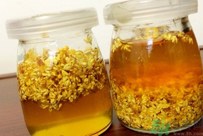 干桂花可以做桂花蜜嗎？干桂花怎么做桂花蜜？