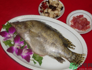 桂魚怎么保存？桂魚放冰箱怎么保存？