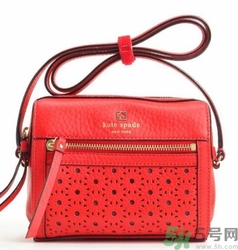 kate spade和coach哪個(gè)好？凱特絲蓓好還是蔻馳好？