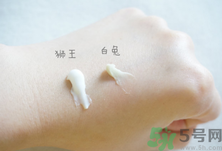 白兔祛痘膏和獅王哪個(gè)好？白兔牌暗瘡膏哪款好？