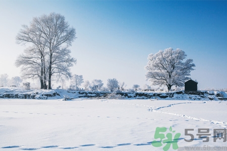 冬季養(yǎng)生吃什么最好？冬季養(yǎng)生吃三冬