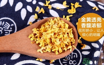 喝桂花茶會(huì)上火嗎？喝桂花茶上火怎么辦？