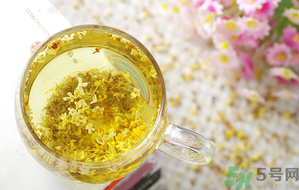 月經(jīng)期能喝桂花茶嗎？經(jīng)期能喝桂花茶嗎？