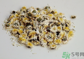 干菊花長蟲怎么辦？干菊花長蟲還能喝嗎？