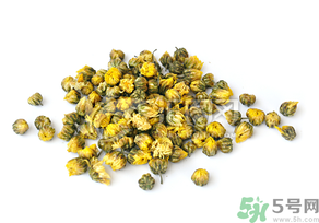 干菊花長蟲怎么辦？干菊花長蟲還能喝嗎？