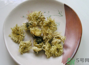 干菊花長蟲怎么辦？干菊花長蟲還能喝嗎？