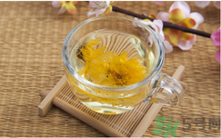 菊花茶可以天天喝嗎？菊花茶喝多了會(huì)怎么樣？