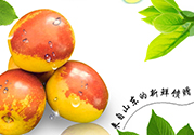 冬棗洗了可以放冰箱嗎？冬棗放冰箱好還是不放冰箱好？