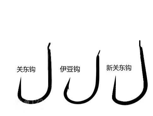 釣鯉魚用幾號鉤？釣鯉魚用什么鉤？