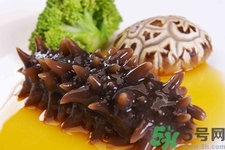 吃海參會(huì)上火嗎？經(jīng)常吃海參會(huì)上火嗎？