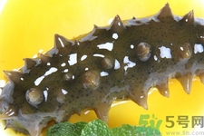 新鮮海參能生吃嗎？新鮮海參是生吃好還是熟吃好？