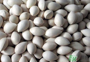 吃白果有什么好處和壞處？吃白果有什么作用？